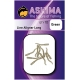 Ashima Line Aligner