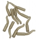 Ashima Line Aligner