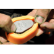Guru X-Press Method Mould