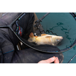 Preston Carp XS 24" Landing Net