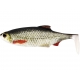Westin Ricky The Roach Shad