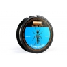 PB Blue Ant Fluoro Carbon